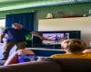 LwT_2018_Dzien5_onwater21
